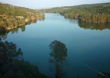 RIBERA DEL EMBALSE DE BORNOS